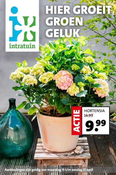 Aanbiedingen van Bouwmarkt & Tuin in Heemstede | Folder week 16 2024 NL dyn bij Intratuin | 15-4-2024 - 29-4-2024