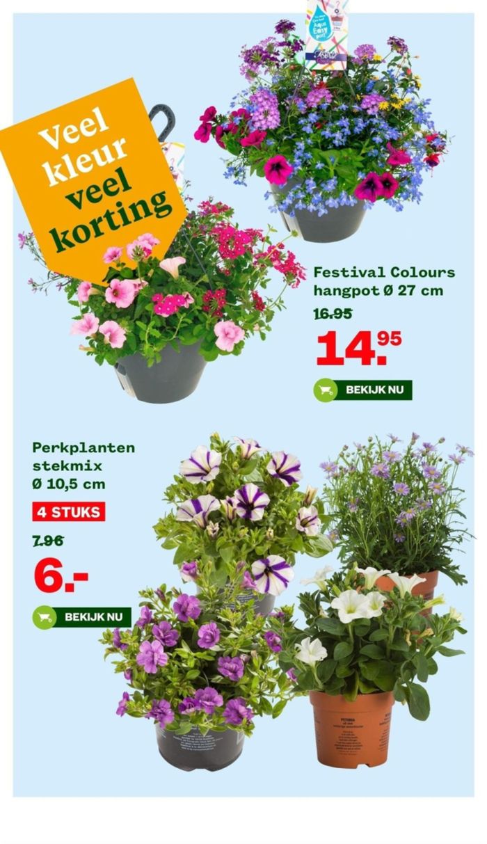 Catalogus van Welkoop in Aalsmeer | Voordelig veel kleur in je tuin. | 21-4-2024 - 5-5-2024