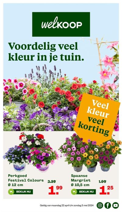 Aanbiedingen van Bouwmarkt & Tuin in Mijdrecht | Voordelig veel kleur in je tuin. bij Welkoop | 21-4-2024 - 5-5-2024