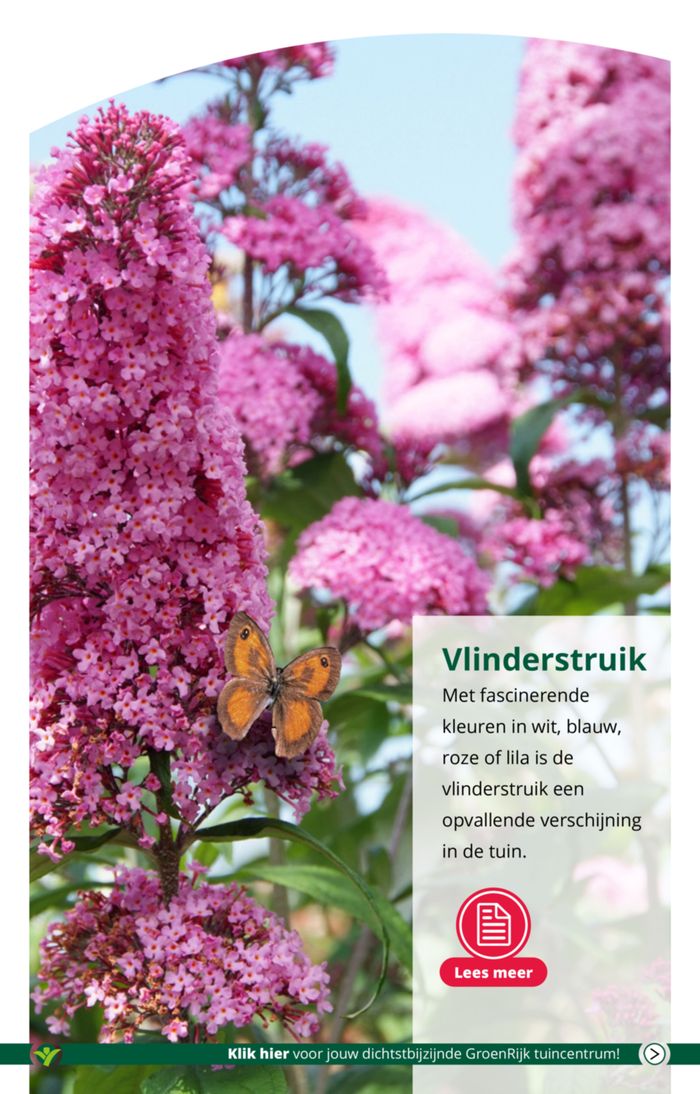 Catalogus van GroenRijk in Den Haag | Fleur je tuin of terras op met kleur! | 15-5-2024 - 29-5-2024