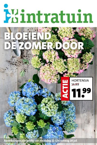 Aanbiedingen van Bouwmarkt & Tuin in Amsterdam | Folder week 30 2024 dyn bij Intratuin | 22-7-2024 - 5-8-2024