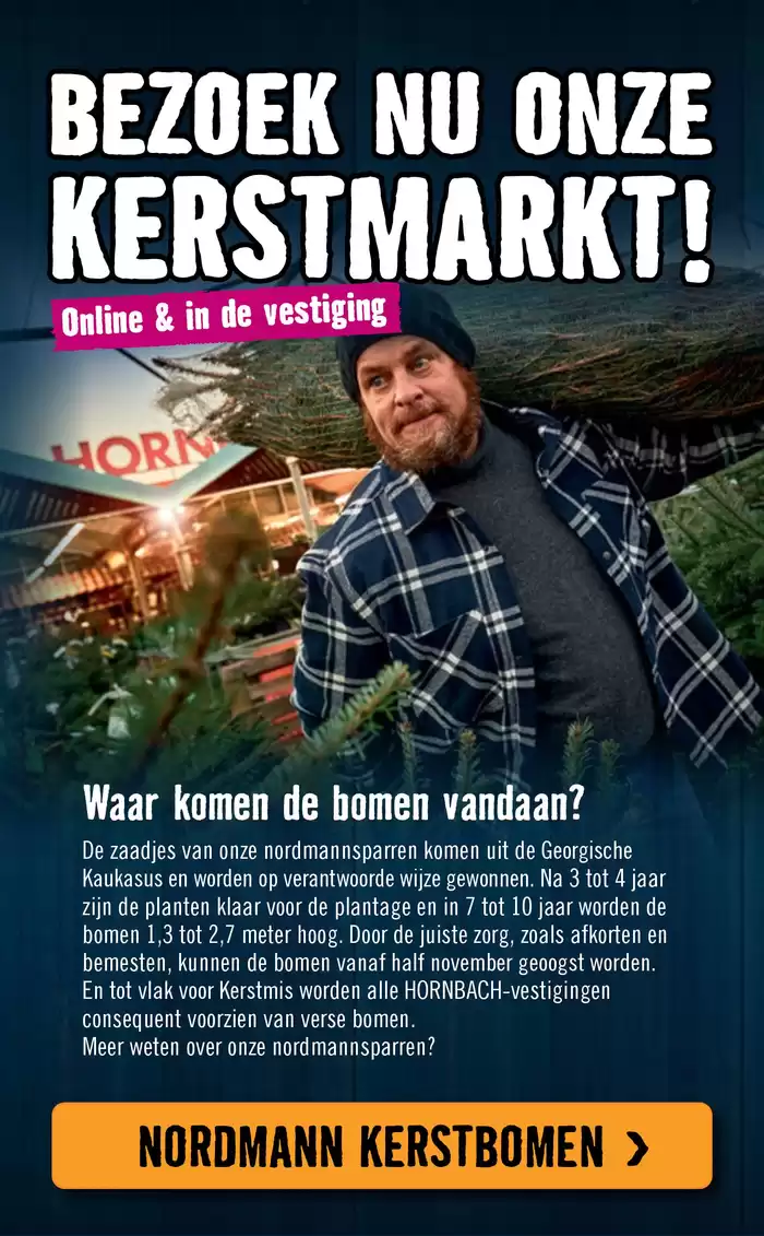 Catalogus van Hornbach in Groningen | Het is jouw Kerst | 2-12-2024 - 5-1-2025