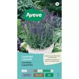 Aanbieding van Lavendel voor 1,89€ bij Aveve