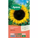 Aanbieding van Zonnebloem Giganteus voor 1,89€ bij Aveve