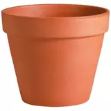 Aanbieding van Bloempot klassiek terracotta rood 5cm voor 0,69€ bij Aveve