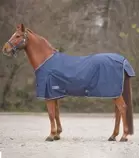 Aanbieding van Waldhausen Regendeken - Paardendeken - Blauw voor 59,96€ bij Welkoop