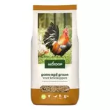 Aanbieding van Welkoop Gemengd graan - Krielkippen - Kippenvoer - 5 kg voor 9,16€ bij Welkoop