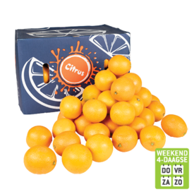 Aanbieding van Perssinaasappelen voor 9,99€ bij Dekamarkt