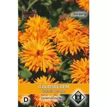 Aanbieding van Goudsbloem -  Calexis Orange voor 2,29€ bij Tuinland