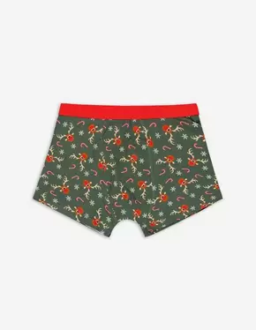 Aanbieding van Boxershort - Kerst - groen voor 5,99€ bij Takko fashion