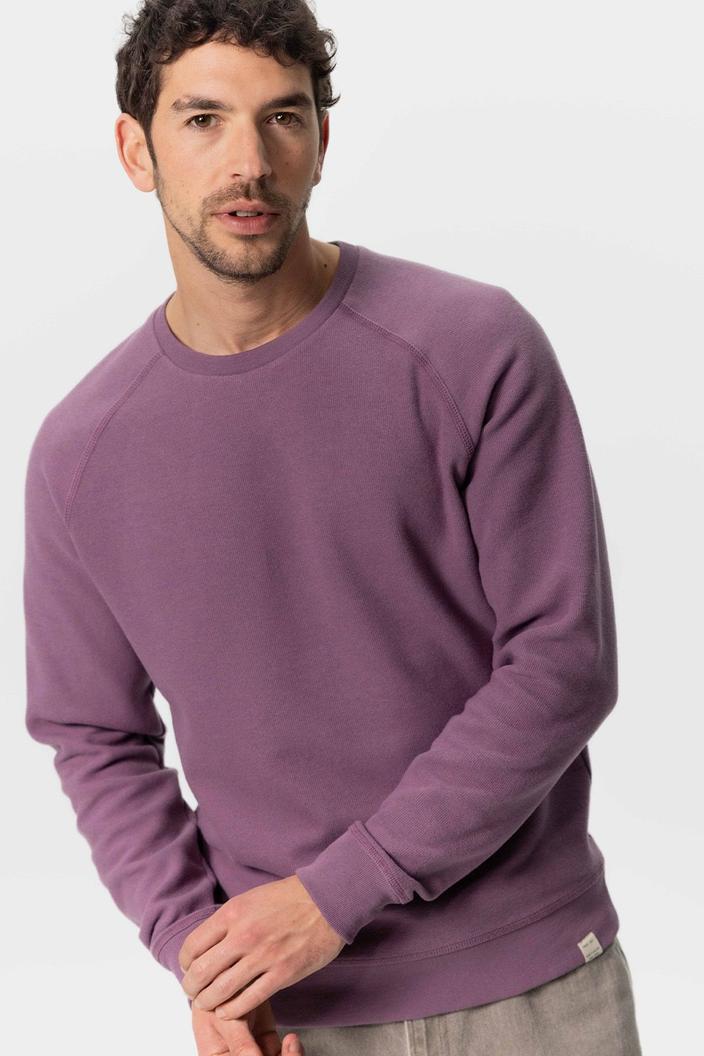 Aanbieding van Paarse sweater voor 51,99€ bij Sissy-Boy