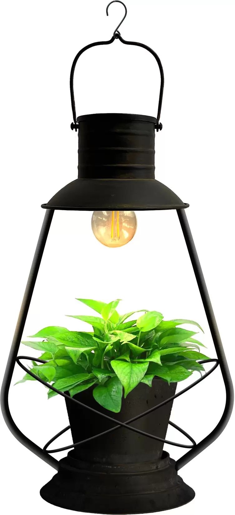 Aanbieding van Intratuin LED solar hanglamp plant 22 x 16 x 37 cm voor 19,99€ bij Intratuin