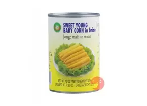 Aanbieding van X.O. SWEET YOUNG BABY CORN 425G voor 2,29€ bij Sahan Supermarkten