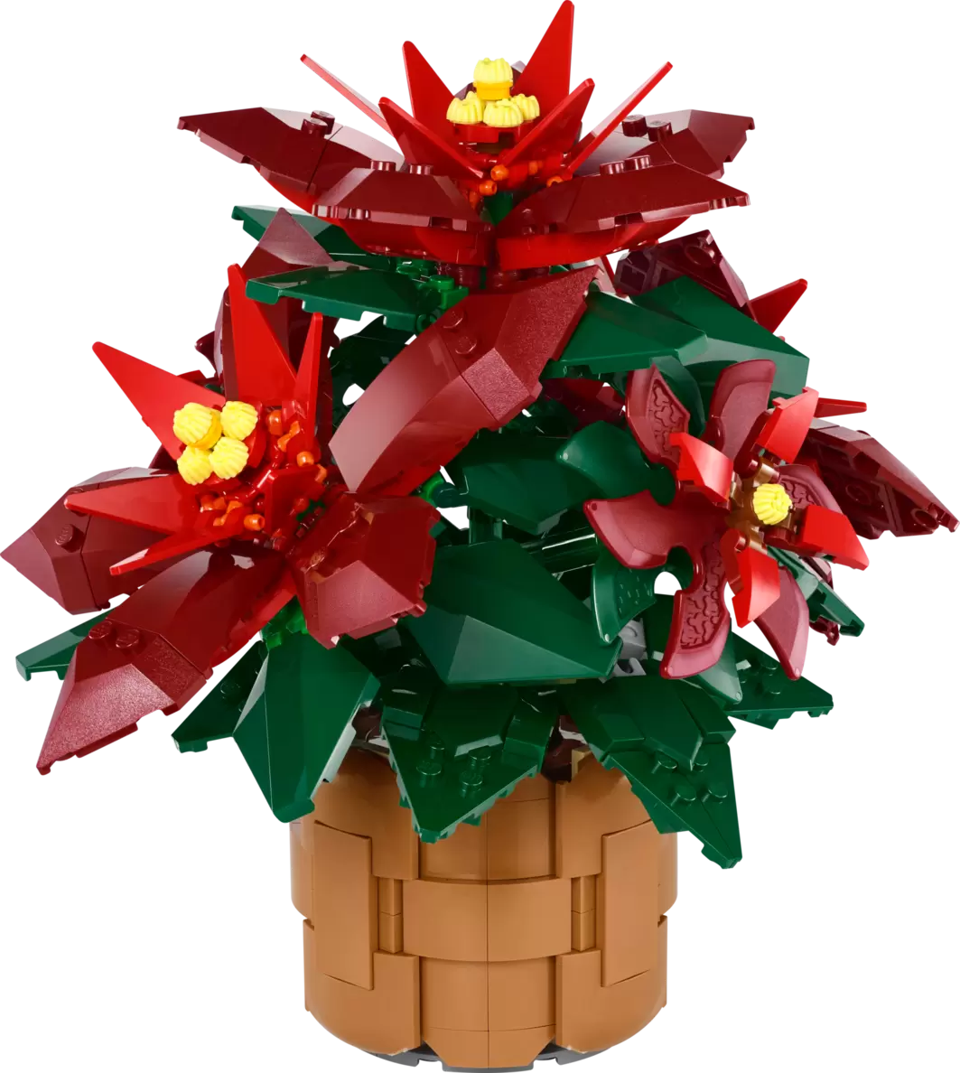 Aanbieding van Kerstster voor 49,99€ bij Lego