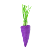 Aanbieding van Baby Rainbow Carrot - Purple voor 4,5€ bij Lush